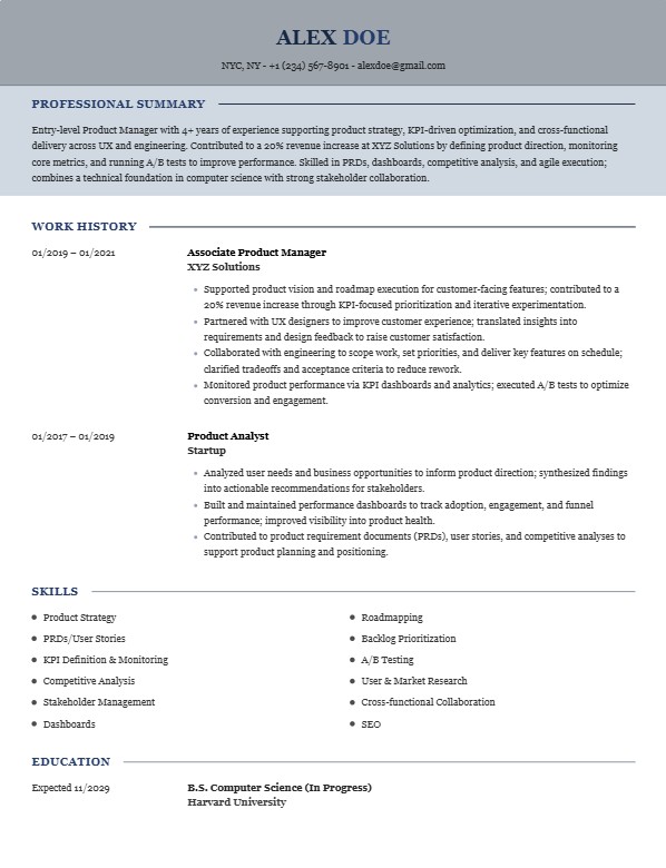Professional resume template